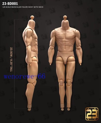 23Toys 1/6 Muscular Male Action Figure Body BD001-6 for 12" Hot Toy Phicen Head - Picture 2 of 15