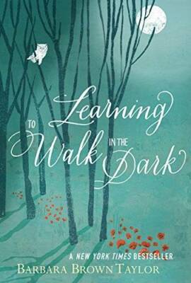 Learning to Walk in the Dark - Paperback By Taylor, Barbara Brown - VERY GOOD