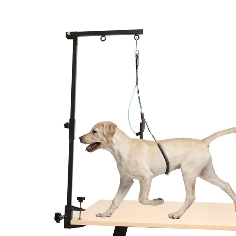 Nosit Pet Haunch Holder Dog Grooming Restraint Harness Leash Loop for Table eBay