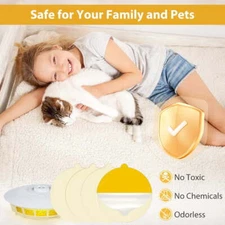 Refill Sticky Glue Boards 7" (20-Pack) for Indoor Bug Catcher and Insect Control