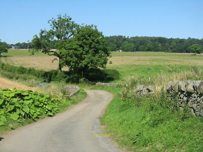 Foto 6x4 Brücke über den Brunton Burn Auf dem Weg aus Torphichen. c2012