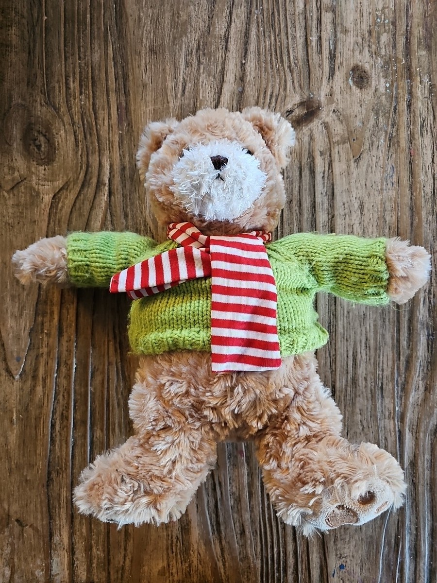 2010 MYER Christmas Bear Charlie 30cm Approx Green Jumper Red