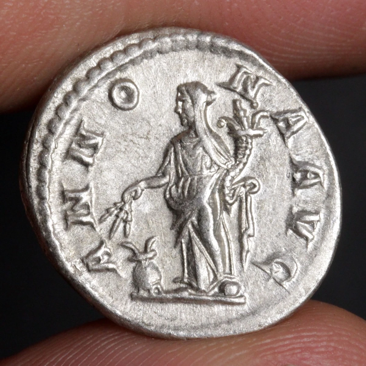 Denarius Severus Alexander Roman Imperial Coins (27 BC-476 AD) for