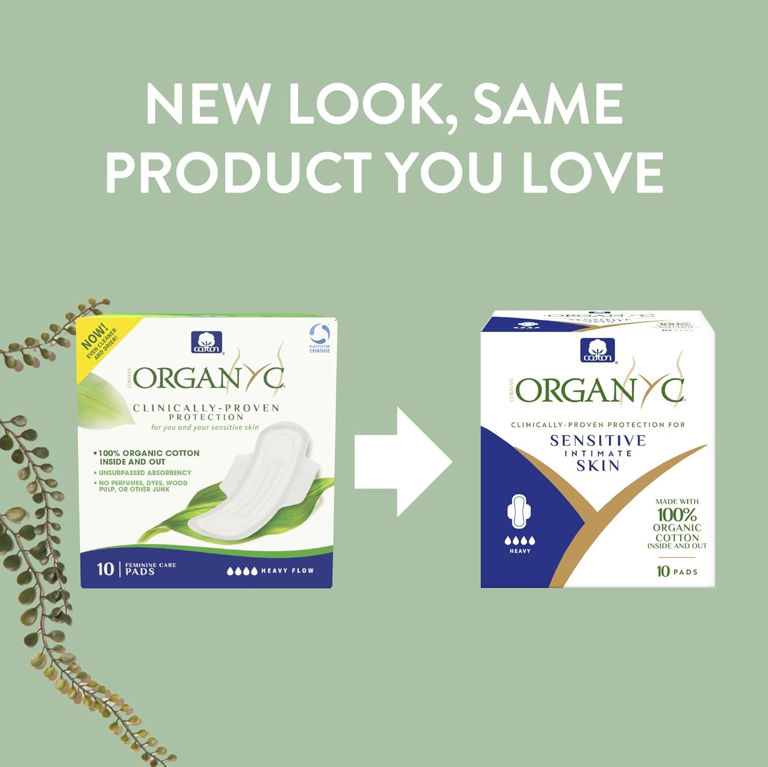 100% Certified Organic Cotton Feminine Pads, Sanitary Napkin Heavy Flow 10 Count