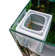 Aquarium supplies newborn fry incubator box juvenile fish isolation net