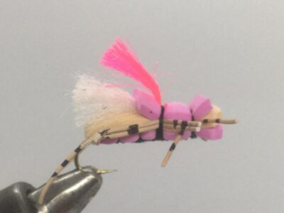 One Dozen (12) - Fat Albert - Tan and Pink - Terrestrial