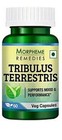 @ Morpheme Remède Tribulus Terrestris 60 Végétarien Capsule A098