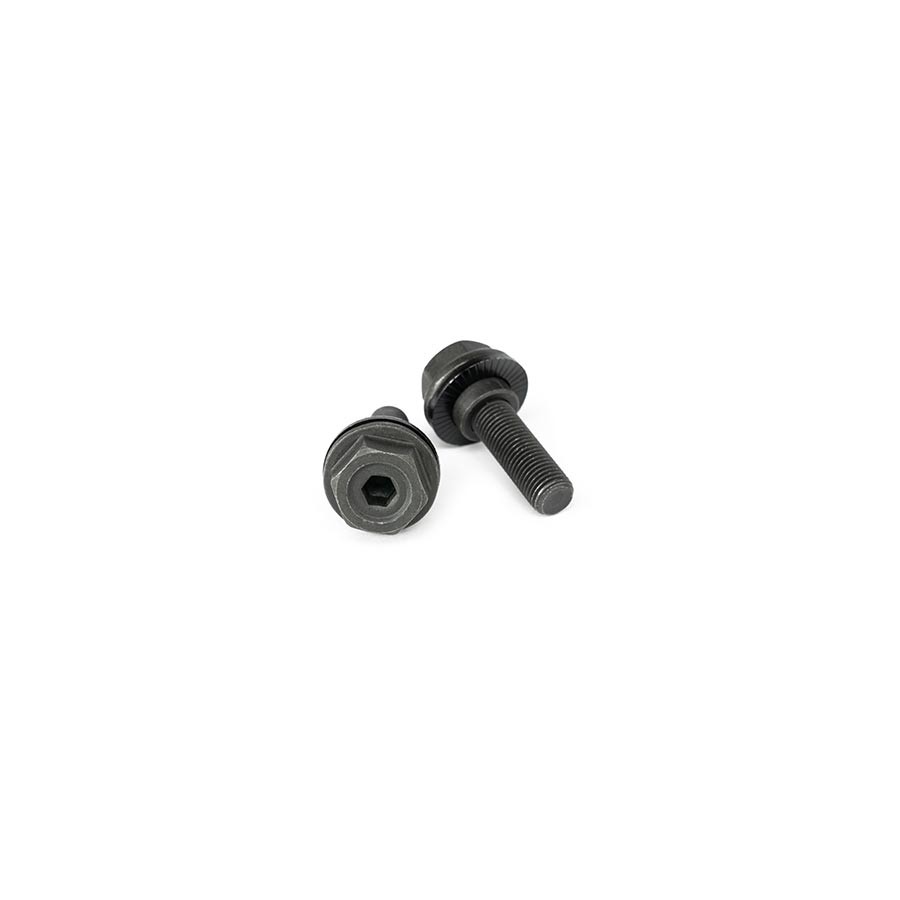 Eclat Exile Disc CS Hub Rear, Right side drive, 36H, 110mm, BMX Cassette, Black