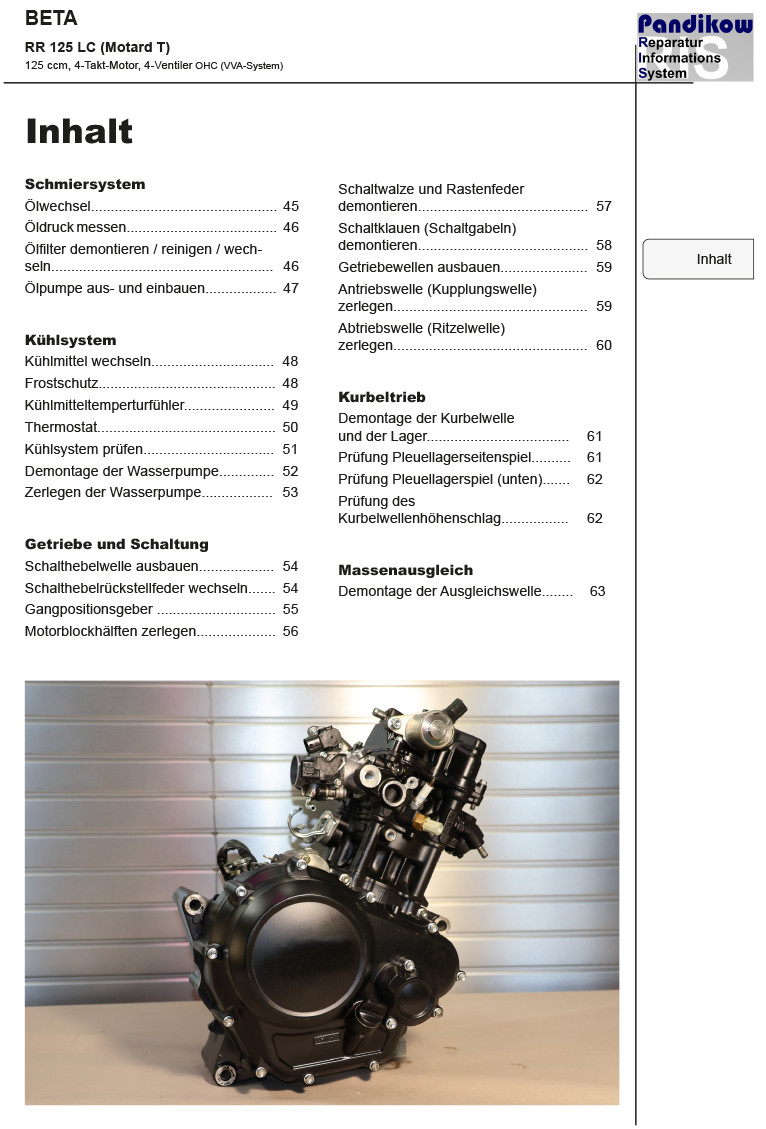 Reparaturanleitung RIS Beta RR 125 LC Motard, 4T, Antrieb