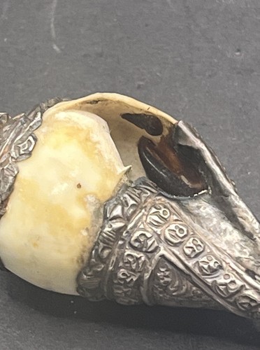 Seashell Wrapped In Sterling Silver Vintage 925 Large Ornate Pendant 27 Grams - Foto 4 di 6