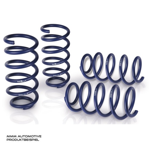 H&R Federn ABE 35/20mm 29187-4 BMW 3er Touring 390X Tieferlegung
