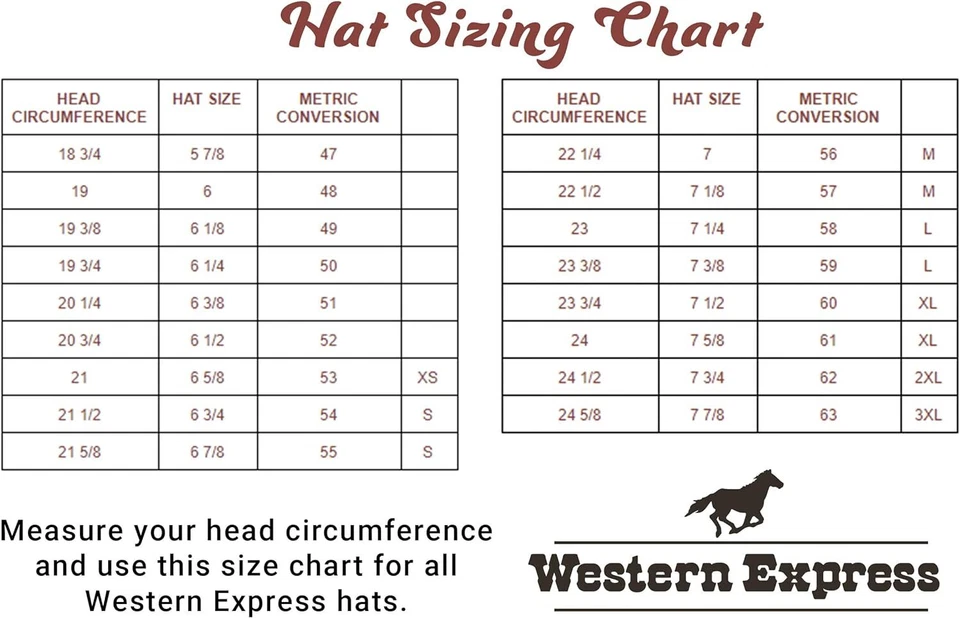 Sombrero de Vaquero Clásico Ganadero de Paja con Conchos Plateados y Banda Elástica - Blanco Foto 3 de 3