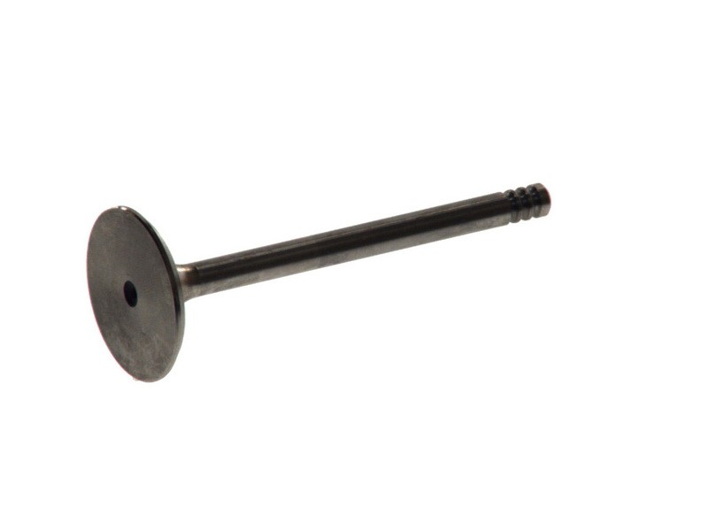 Fits FRECCIA 4888/BM Intake Valve 4888/BM Intake valve (35,9x7x96,8) fits: AUDI