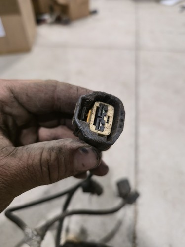 2004 DODGE RAM 2500 3500 5.9 CUMMINS TRANSMISSION WIRING 56051726AA 48re 4x4 - Picture 5 of 13