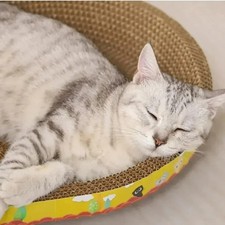 Cat Scratching Board Oval Corrugated Paper Bed Toy w Catnip for Cats