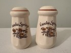 Vintage Eureka Springs Arkansas Ceramic Souvenir Floral Salt & Pepper Shakers — photo 1