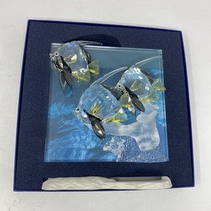 Swarovski Wonders of the Sea Community | eBay