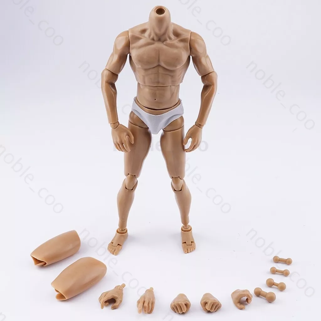 1/6 Scale Muscular Male Action Figure Body For 12 Hot Toy Phicen TBLeague  Head