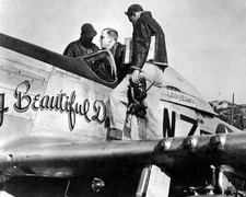 North American P-51 Mustang World War II WWII WW2 8x10 Photo 400c
