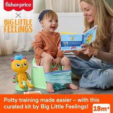 FISHER Price Learning Potty Bundle
