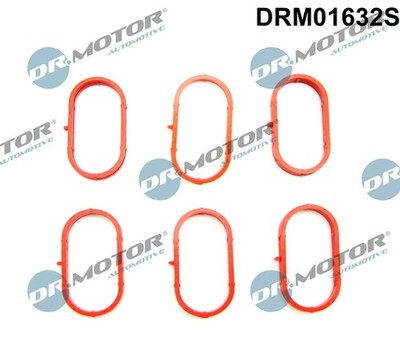 Dr.Motor Automotive DRM01632S Dichtungssatz, Ansaugkrümmer for AUDI