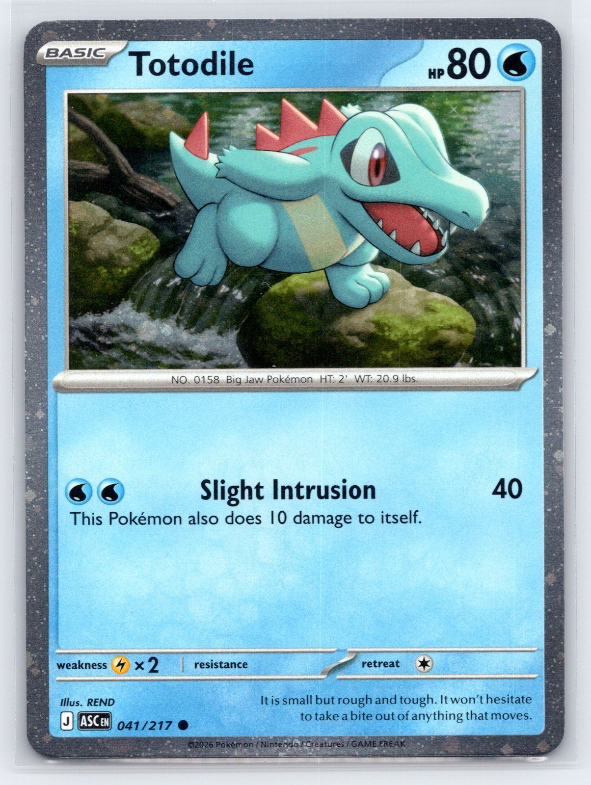 Pokemon NM Holo Totodile (Cosmos Holo) 041/217 Common Miscellaneous Cards & Prod