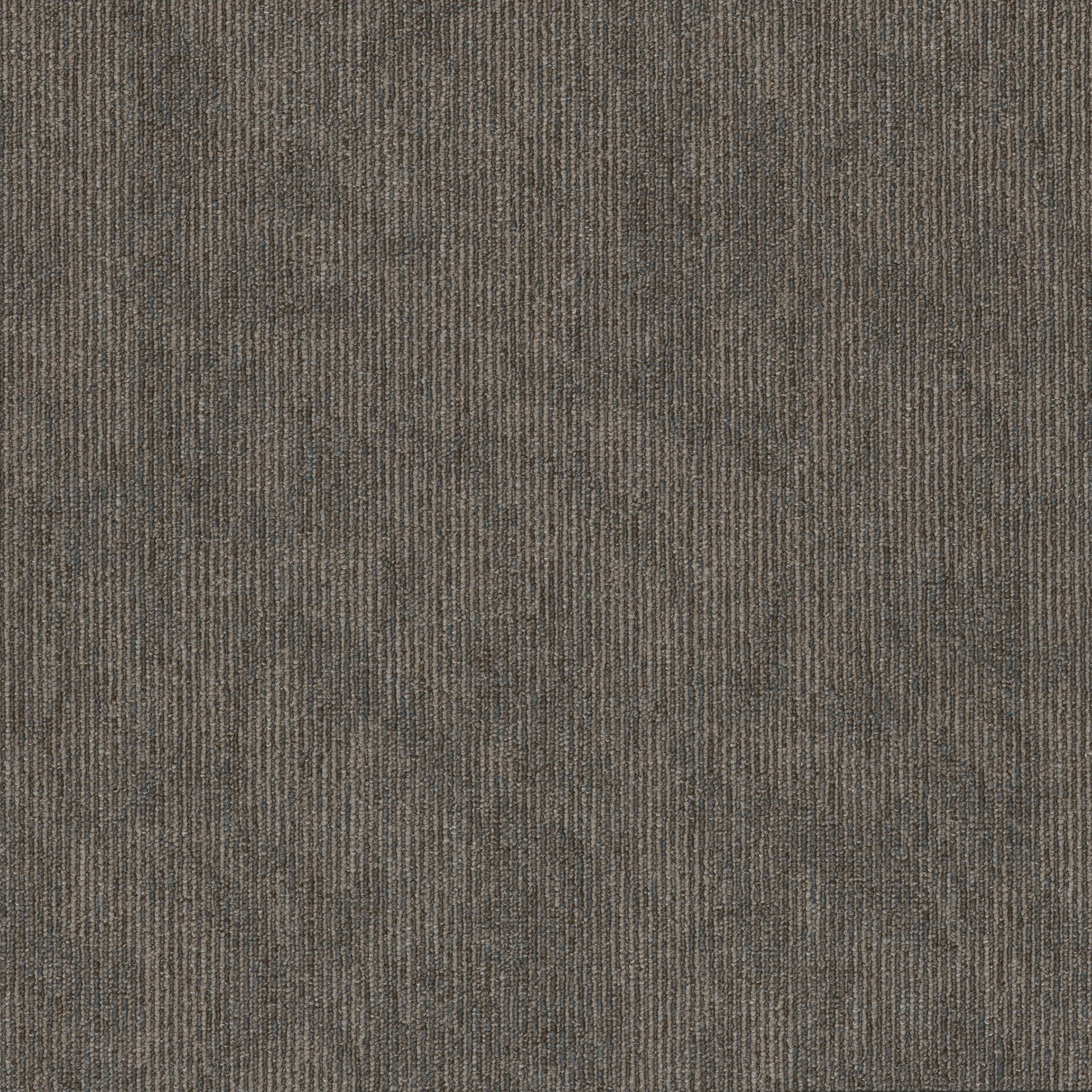 Shaw 54956 Contender 24