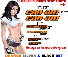 CAN AM COMMANDER  ROTAX CANAM DECAL DECALS REPLACEMENT message for other colors