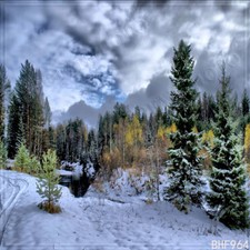 Winter 10'x10' Computer-painted Indoor Scenic background backdrop BHF964