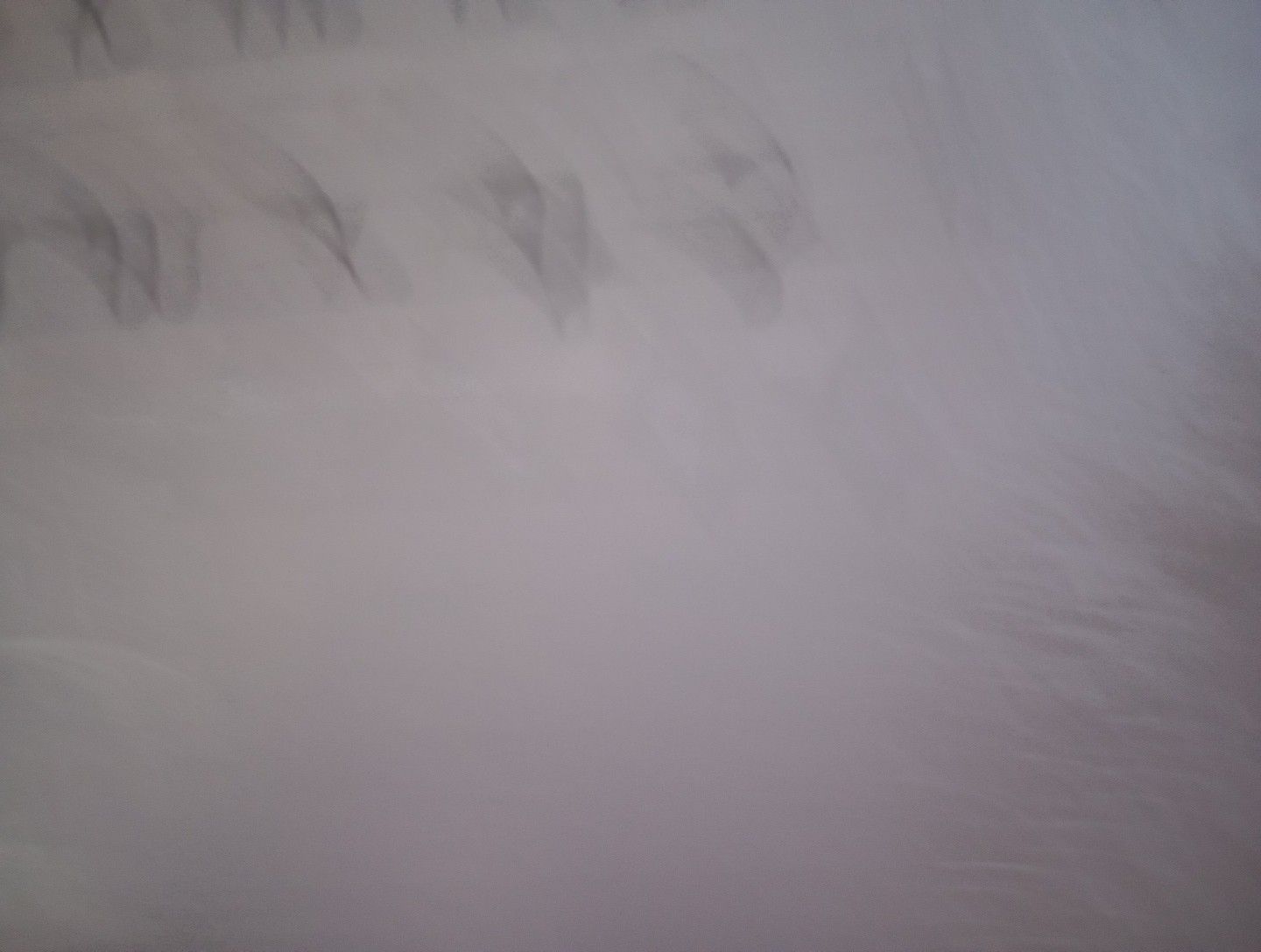 Picture 10 of 11
