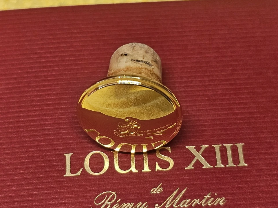 Juego completo botella vacía Remy Martin Luis XIII LA MINIATURA 50 ml * Estado AA+ Foto 3 de 4