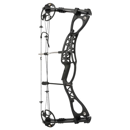 DE Compoundbogen Set Jagdbogen 0-70lbs Bogenschießen Pfeile Sportbogen Jagd RHLH - Bild 11 von 12