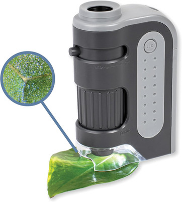 Carson MM-300 Microbrite Plus 60 -120X LED beleuchtetes Taschenmikroskop, grau