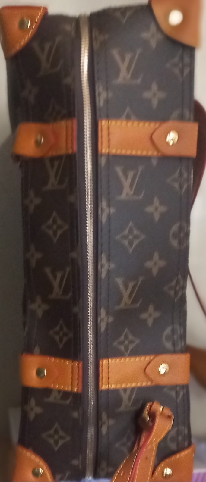 Louis Vuitton Monogram Brown Accessory Bag Zip Closure Unisex Adult