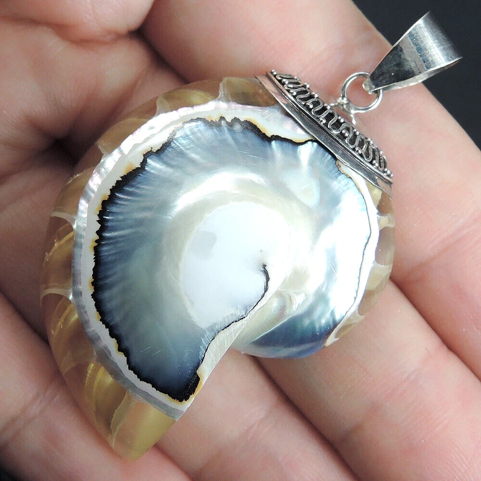Gioielli pendenti in argento sterling 925 conchiglia naturale trasparente Nau... - Immagine 3 di 4