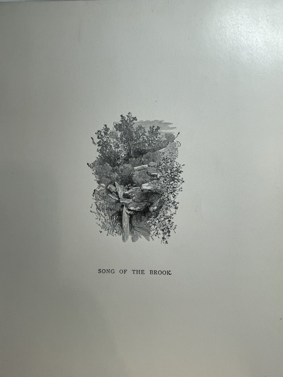 Picture 5 of 12