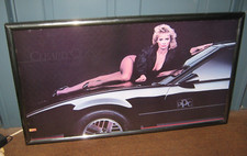 Ppg  Sign Body Shop Car Paint  Automotive Finishes Advertising Firebird