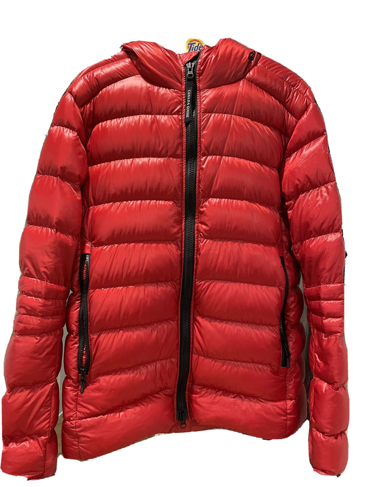 hoseasons cardigan bay