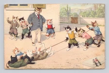 Mainzer - Hartung Dressed Cats Postcard 4726 - Tug of War  1952