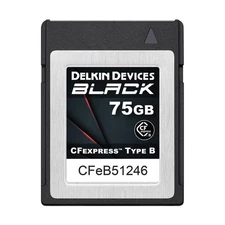 Delkin BLACK CFExpress 75GB Type-B Memory Card