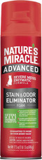 Advanced Stain and Odor Eliminator Foam Cat 17.5 Ounces, for Severe Cat Messes,