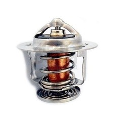 Thermostat Jaguar E