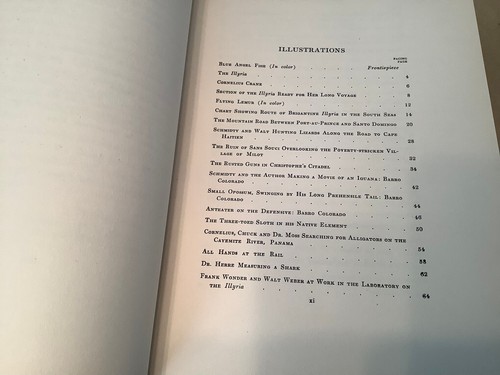 1t ed. 1930 JUNGLE ISLAND sidney n shurcliff, 298pgs, great illustrations photos - Picture 6 of 16