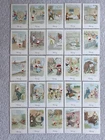 Vintage HENRY (2nd Series of cigarette cards) 1935 - 25 Cards - Mint/Excellent