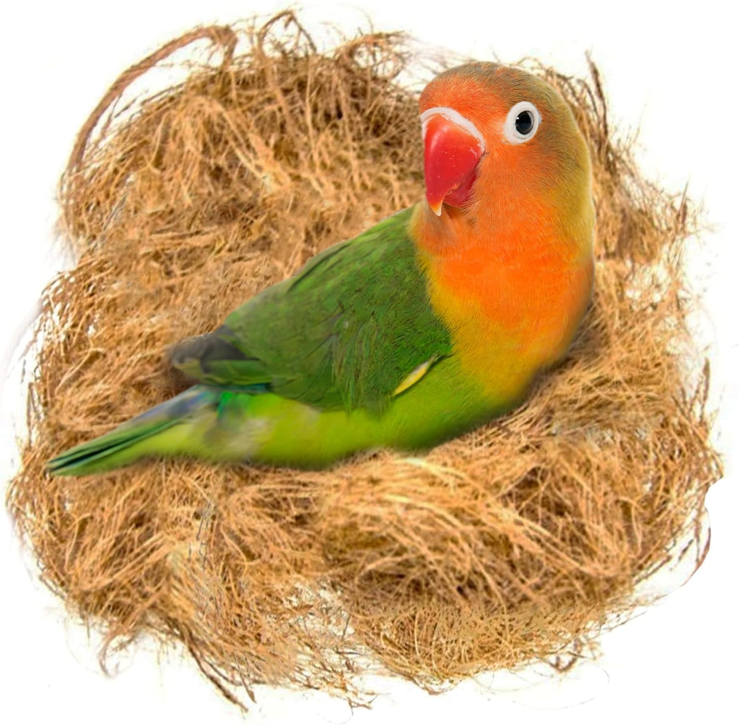 45g Finch Coconut Fiber Nesting Material Loose Bedding For Bird Cages Nest