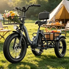 CBVELO C16 3 Rad Fatbike 20 Zoll Elektrofahrrad Dreirad 48V 20.8Ah E-Bike DE
