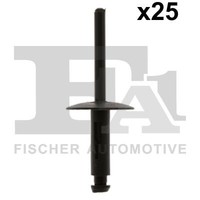 Sortiment, Blindniet FÜR BMW 3 (E90), BMW 3 Touring (E91) - Fa1 10-20020.25