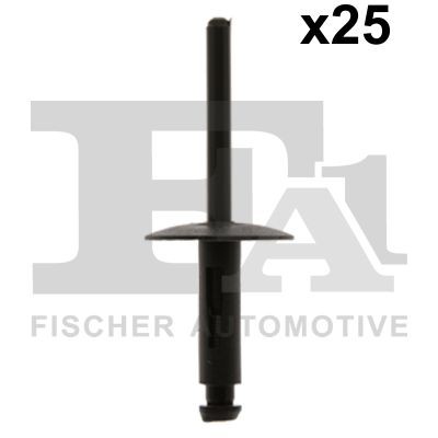 Sortiment, Blindniet FÜR BMW 3 (E90), BMW 3 Touring (E91) - Fa1 10-20020.25-image