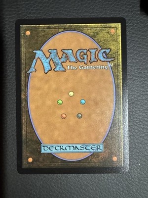 MTG Seize the Day (1172) *Non-Foil* Borderless Secret Lair: Frank