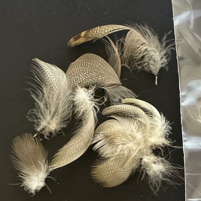 Med Gray dyed mallard flank Craft Feathers Bulk fly tying lot 